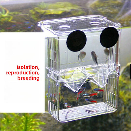 Aquarium-Zuchtbox