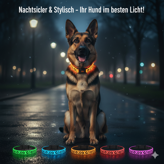 Leuchthalsband für Hunde
