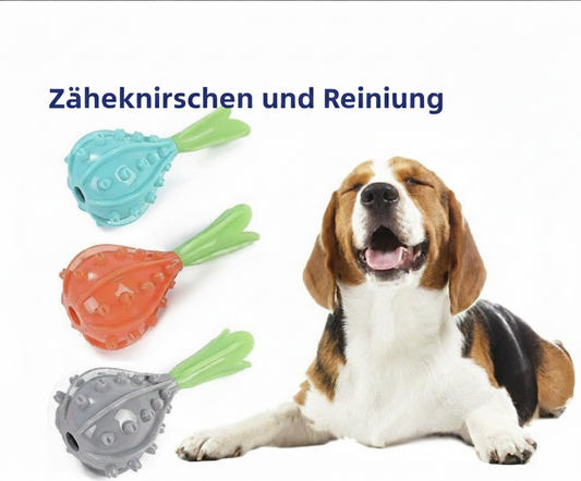 Futterspielzeug für Hunde
