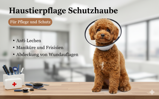 Schutzkragen für Hunde und Katzen