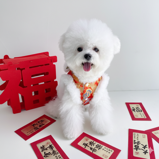 Winter-Tang-Anzug für Haustiere