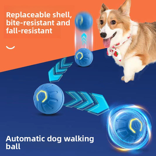 Elektrischer Hundespielball